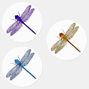 Drie kleuren Dragonfly Stickers