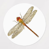 Drie kleuren Dragonfly Stickers (Design 2)