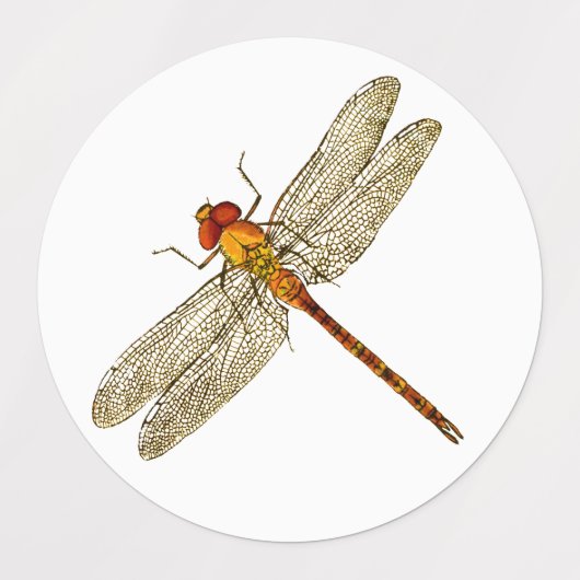 Drie kleuren Dragonfly Stickers (Design 2)