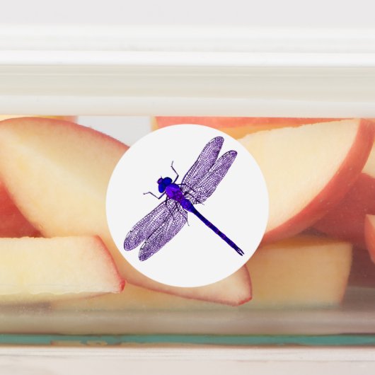 Drie kleuren Dragonfly Stickers (Aangebracht)