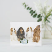 Drie kleuren van Cavalier King Charles Spaniels Briefkaart (Staand voorkant)