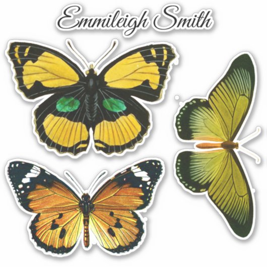 Drie kleurrijke Butterflies Jouw naam Sticker (Voorkant)