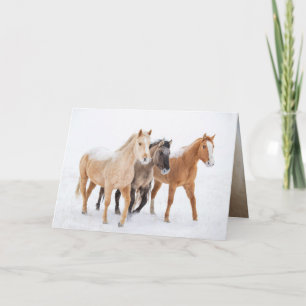 Drie kleurrijke paarden - Wenskaart Kaart