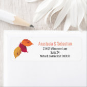 Drie kleurrijke ventilatorbladeren maken etiket (Insitu)