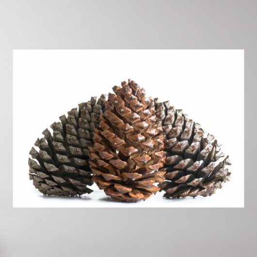 Drie knelpunten poster (Voorkant)