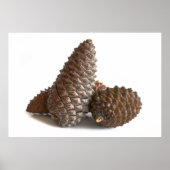 Drie knelpunten poster (Voorkant)
