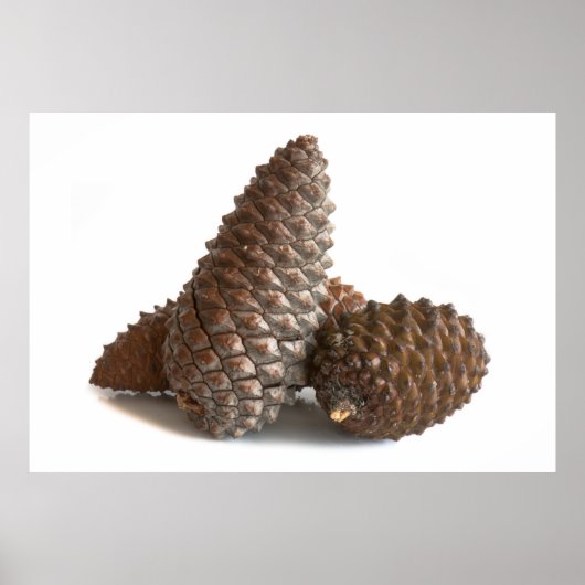 Drie knelpunten poster (Voorkant)