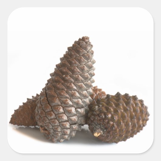 Drie knelpunten vierkante sticker (Voorkant)