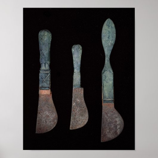 Drie Knives uit Pompeii, Roman, c.100 BC-79 AD Poster (Voorkant)