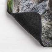 Drie Koala's in een boom Muismat (Hoek)