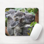 Drie Koala's in een boom Muismat (Met muis)