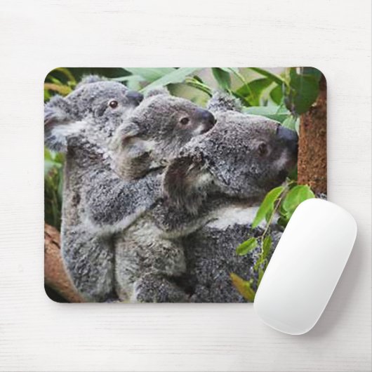 Drie Koala's in een boom Muismat (Met muis)