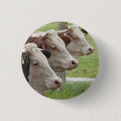 Drie Koeien in een Button van de Rij (Voorkant)