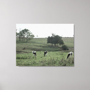 Drie Koeien in een Field Photography Wall Art Canvas Afdruk