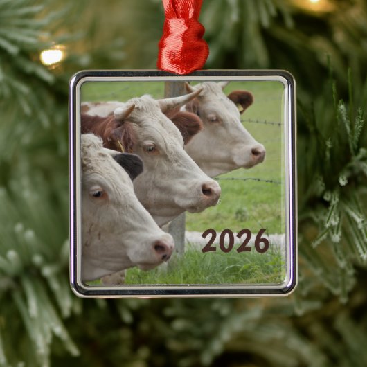 Drie koeien in een rij ornament (Boom)