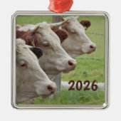 Drie koeien in een rij ornament (Voorkant)