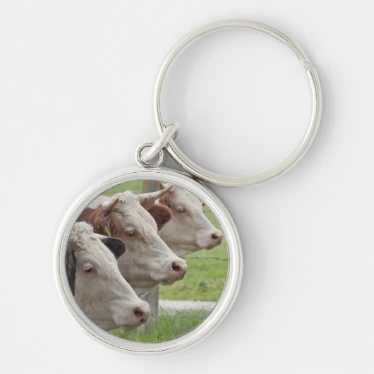 Drie Koeien in een Sleutelhanger van de Rij (Voorkant)