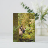 drie Koeien van roosevelt elk over Uitzicht Briefkaart (Staand voorkant)