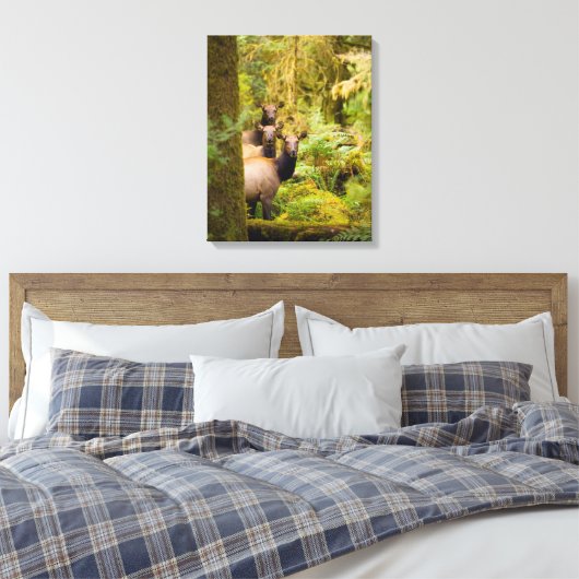 drie Koeien van roosevelt elk over Uitzicht Canvas Afdruk (Insitu (Slaapkamer))