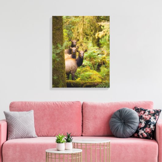 drie Koeien van roosevelt elk over Uitzicht Canvas Afdruk (Insitu (Woonkamer))