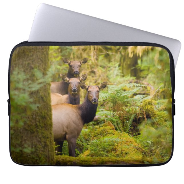 drie Koeien van roosevelt elk over Uitzicht Laptop Sleeve (Voorkant)