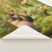 drie Koeien van roosevelt elk over Uitzicht Sherpa Deken (3/4)