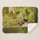 drie Koeien van roosevelt elk over Uitzicht Sherpa Deken (Voorkant (horizontaal))