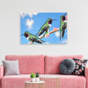 Drie kolibries neergestreken op een tak van een fl canvas afdruk