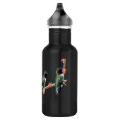 Drie kolibries neergestreken op een tak van een fl waterfles  (Rechts)