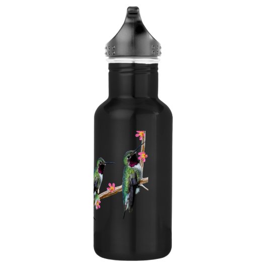 Drie kolibries neergestreken op een tak van een fl waterfles  (Rechts)