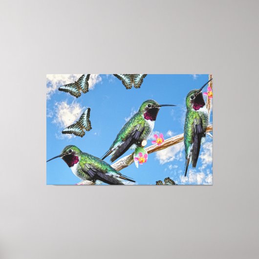 Drie kolibries zittend op een tak Floss Silt Canvas Afdruk (Voorkant)