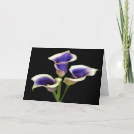 Drie koninklijk paarse bloemkaarten kaart
