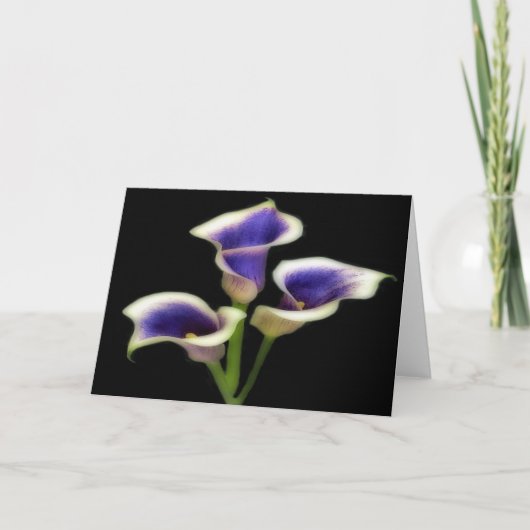 Drie koninklijk paarse bloemkaarten kaart (Voorkant)