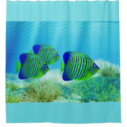Drie koninklijke Angelfish Douchegordijn (Voorkant)