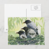 Drie kraaien door schukina briefkaart (Voorkant / Achterkant)