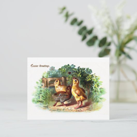 Drie kuikens en een spin Pasen Feestdagenkaart (Staand voorkant)