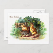 Drie kuikens en een spin  Pasen Feestdagenkaart (Voorkant / Achterkant)