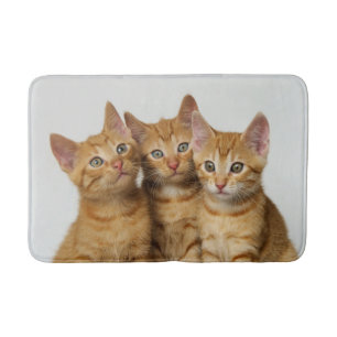 Drie Kute Ginger Kittens zij aan zij, Rug Badmat