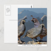 DRIE KWALITEIT EN SHASTA BRIEFKAART (Voorkant / Achterkant)