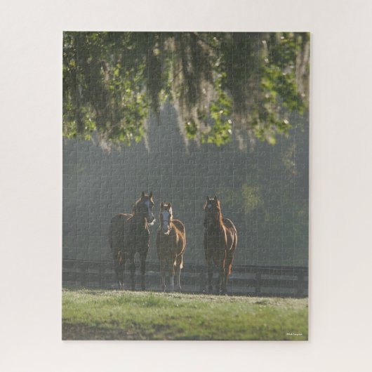 Drie kwart paarden staan in de lijst legpuzzel (Verticaal)