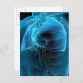 Drie kwart uitzicht hart en longen briefkaart (Voorkant / Achterkant)