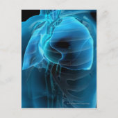 Drie kwart uitzicht hart en longen briefkaart (Voorkant)