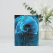 Drie kwart uitzicht hart en longen briefkaart (Staand voorkant)