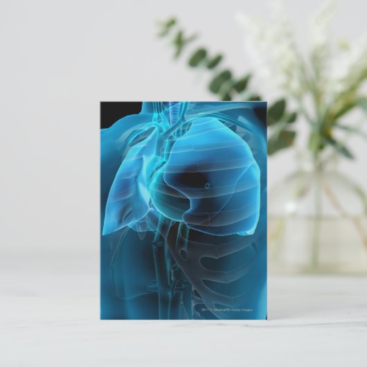 Drie kwart uitzicht hart en longen briefkaart (Staand voorkant)