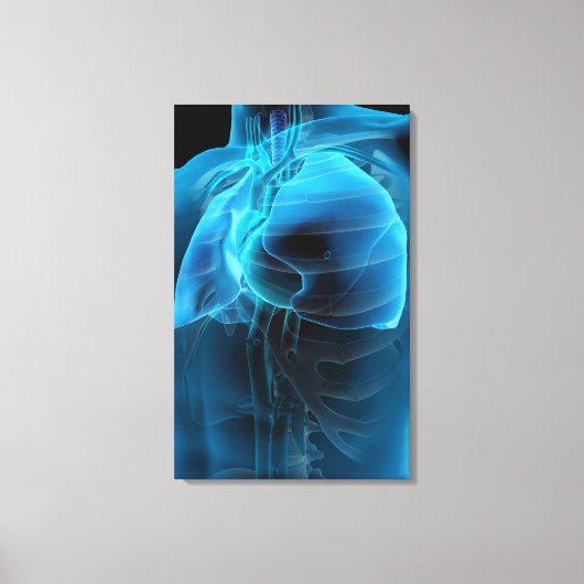 Drie kwart uitzicht hart en longen canvas afdruk (Voorkant)