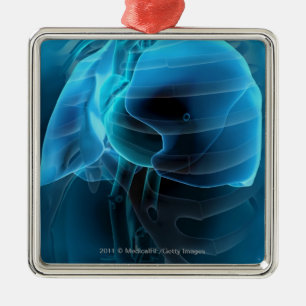 Drie kwart uitzicht hart en longen metalen ornament