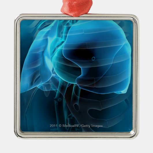Drie kwart uitzicht hart en longen metalen ornament (Voorkant)