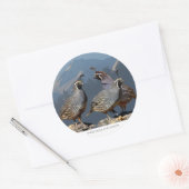 DRIE KWARTELS EN SHASTA RONDE STICKER (Envelop)