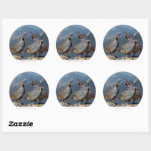 DRIE KWARTELS EN SHASTA RONDE STICKER (Vel)