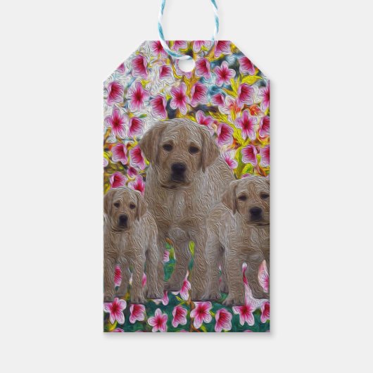 Drie labrador Puppies Oil geverfd, Cadeaulabel (Voorkant)